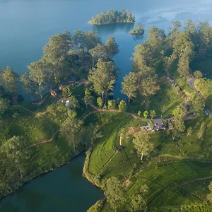 4* Resort The Farm